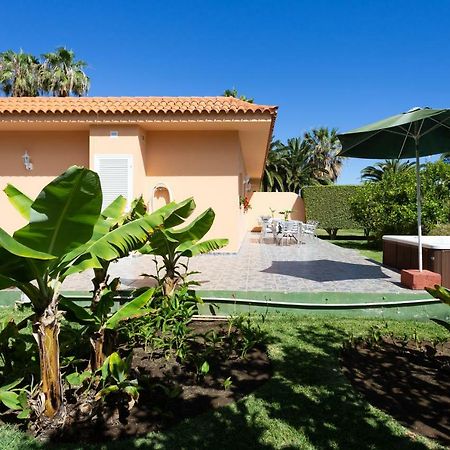Finca La Gaviota - Los Limoneros Icod De Los Vinos Zewnętrze zdjęcie