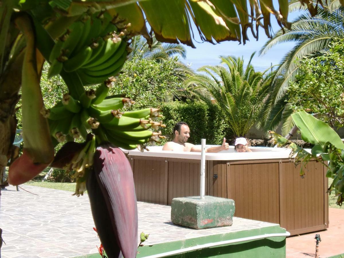 Finca La Gaviota - Los Limoneros Icod De Los Vinos Zewnętrze zdjęcie